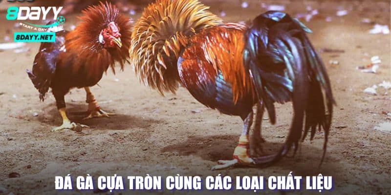 Hình thức đấu chiến kê bằng chất liệu khác nhau