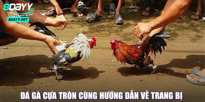 Hướng dẫn trang bị cho đá gà cựa tròn